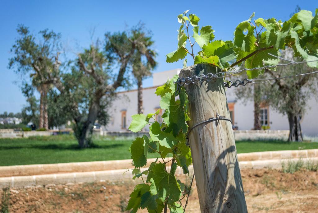 Tenuta Mosè Charming house&relais Gallipoli Extérieur photo